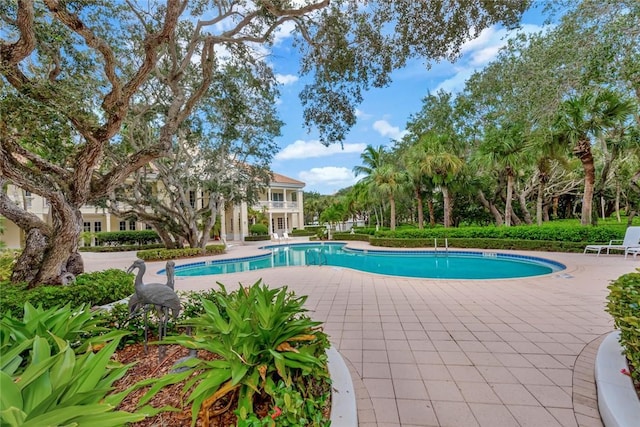 view of swimming pool featuring a patio area