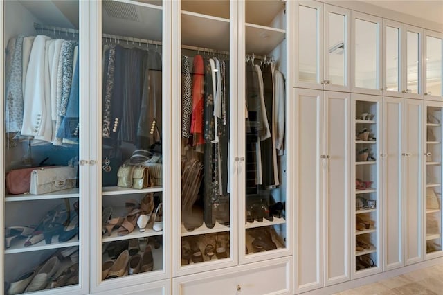 view of closet