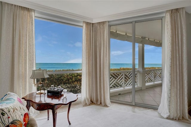 living area featuring a water view, light colored carpet, and a view of the beach