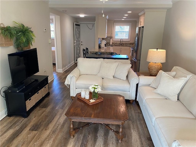 living room featuring crown molding, sink, and dark wood-type flooring