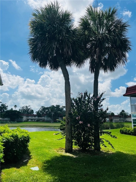 view of yard with a water view