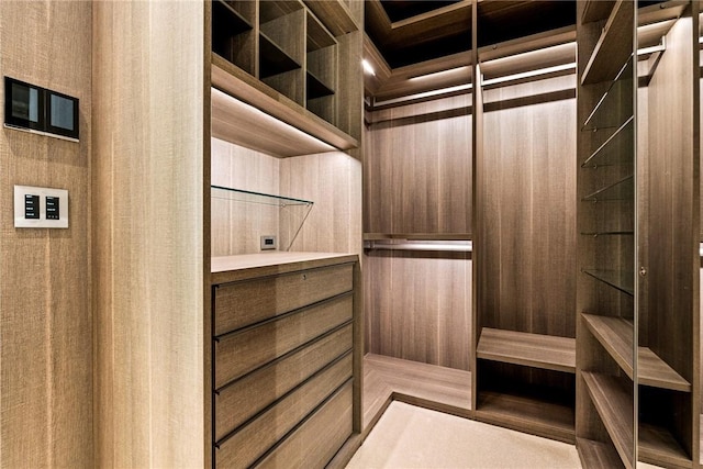 view of walk in closet