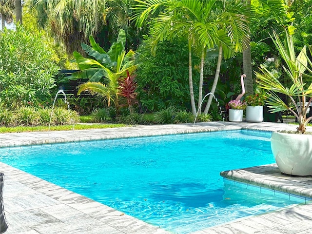 view of swimming pool