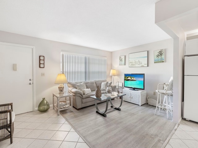 living room featuring light hardwood / wood-style flooring