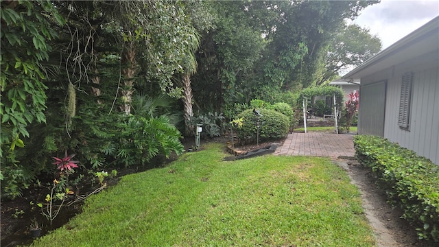 view of yard with a patio