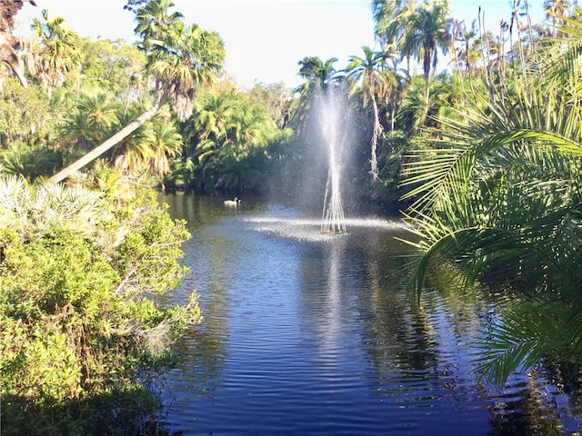 view of water feature