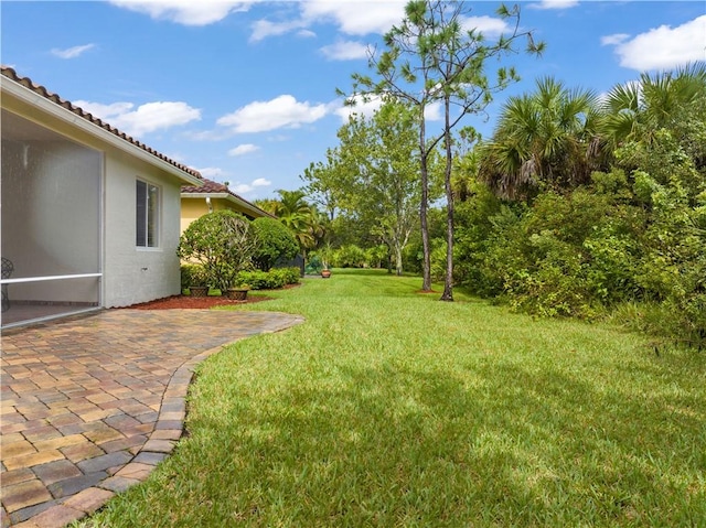 view of yard featuring a patio