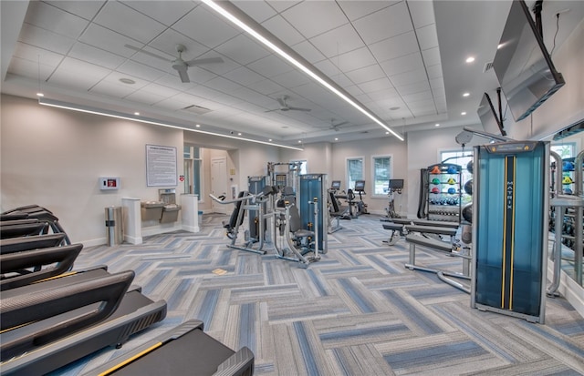 exercise room featuring ceiling fan, carpet, baseboards, and a drop ceiling