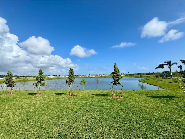 water view