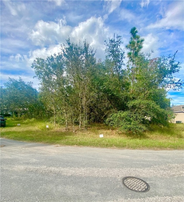 6 Elder Court W, FL, 34446 land for sale