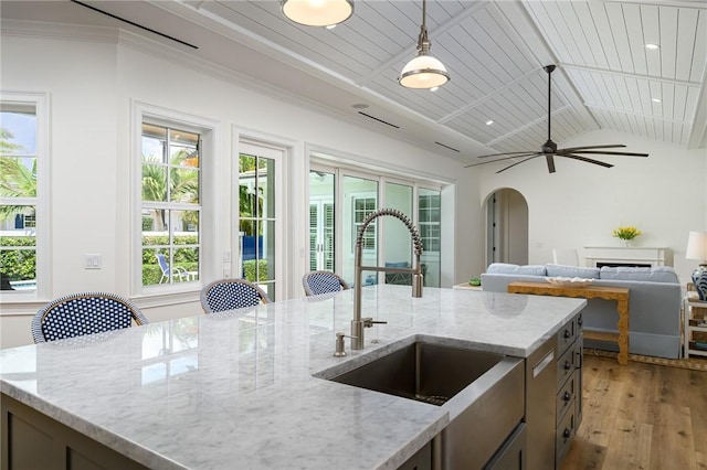 40 White Orchid Way, Vero Beach, FL 32963 - kitchen with a sink, light wood-style floors, pendant lighting, arched walkways, and open floor plan