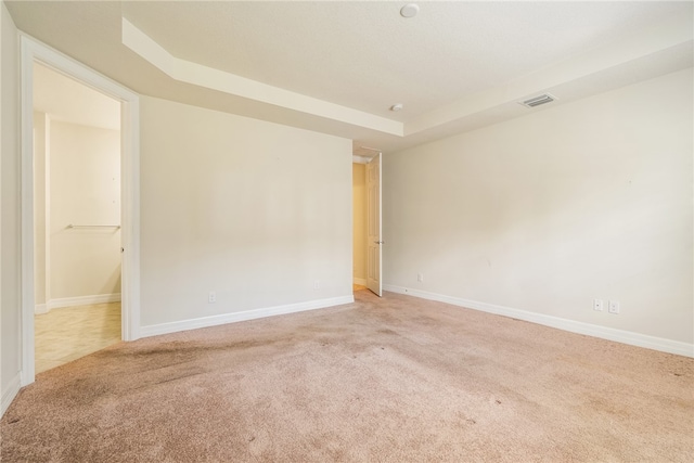 spare room featuring light colored carpet and a raised ceiling