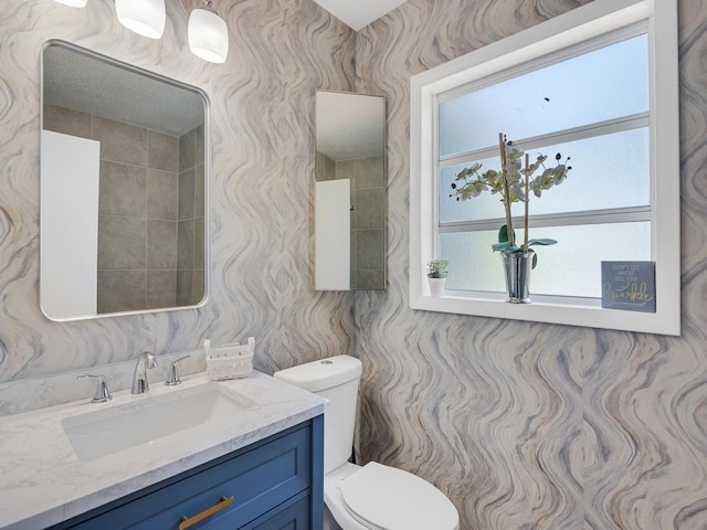bathroom with toilet and vanity