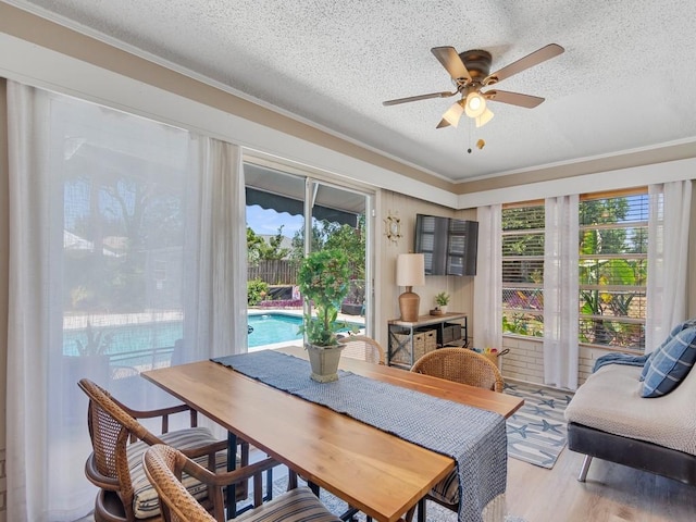 dining area with a ceiling fan, a textured ceiling, wood finished floors, and ornamental molding