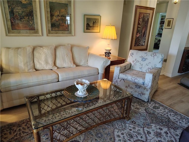 living room featuring hardwood / wood-style floors