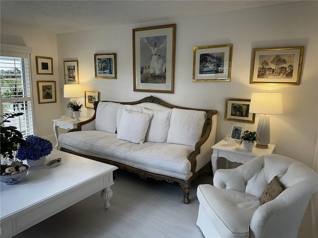 living room featuring a textured ceiling