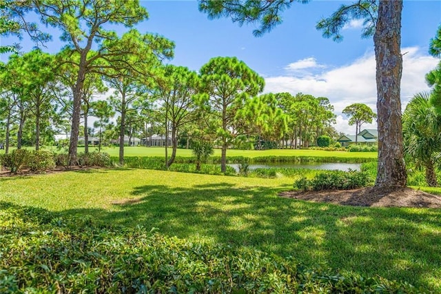 view of yard featuring a water view