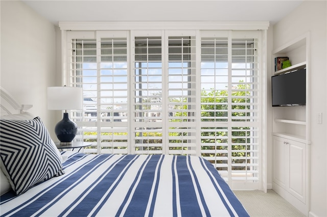 bedroom with multiple windows and carpet flooring