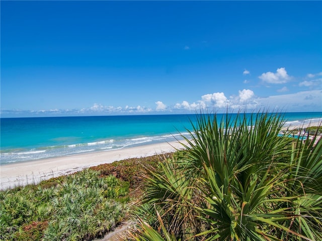 water view featuring a view of the beach