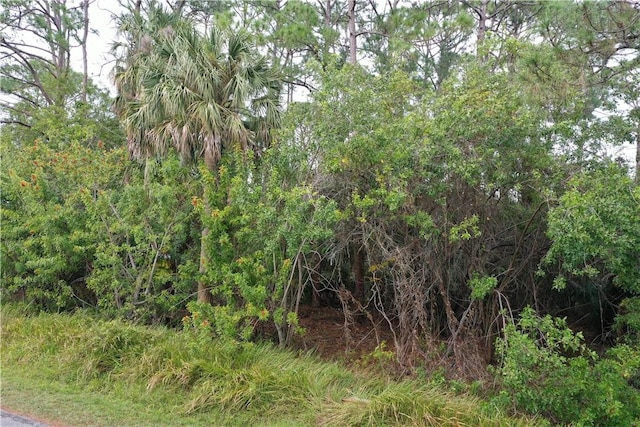 Listing photo 3 for 490 Coolidge Rd NE, Palm Bay FL 32907