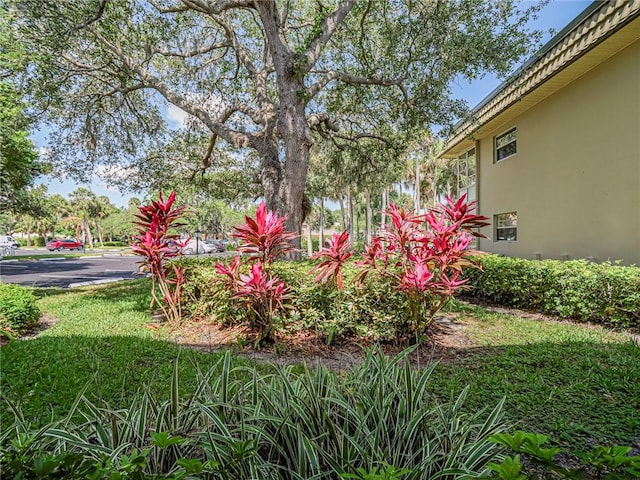 14 Vista Gardens Trl Unit 102, Vero Beach, FL 32962 - view of yard
