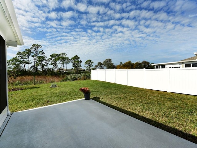 view of yard featuring a patio area