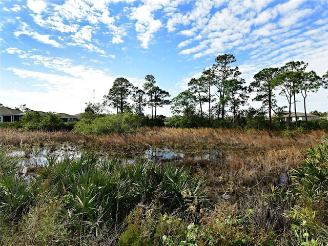 view of local wilderness with a water view