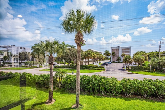 view of home's community with a lawn