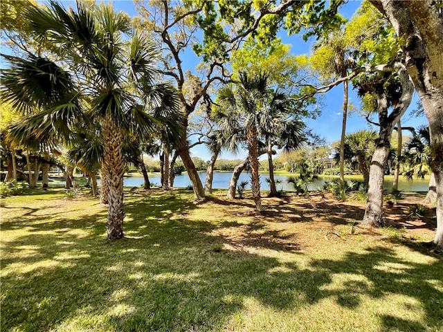 view of yard with a water view