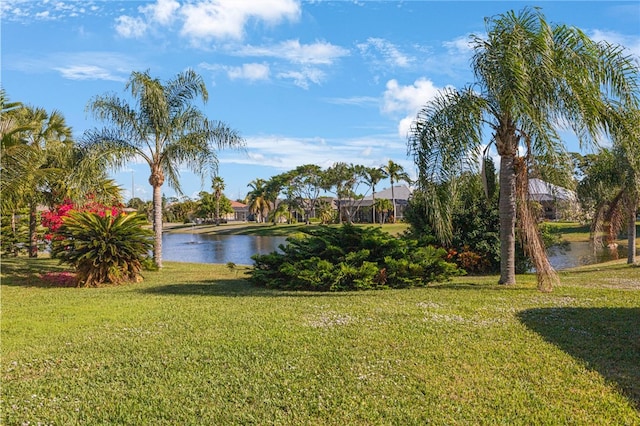 view of yard featuring a water view