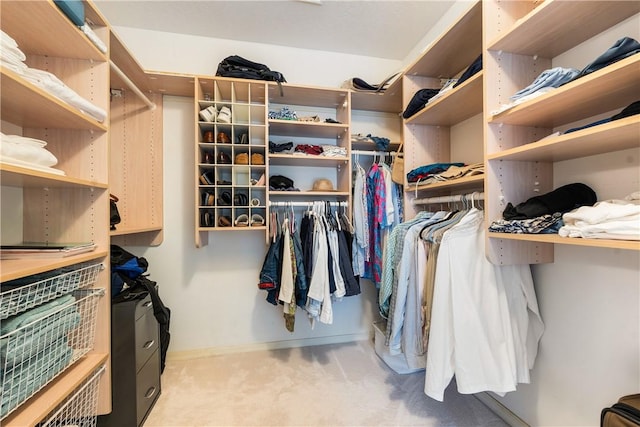 walk in closet with light carpet