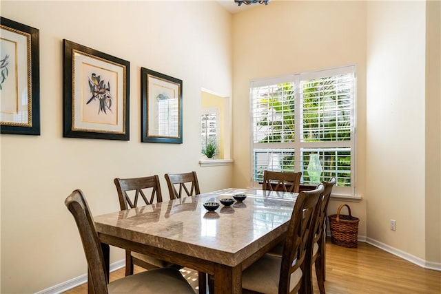 dining room with hardwood / wood-style flooring