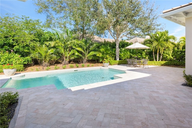 outdoor pool featuring outdoor dining space and a patio