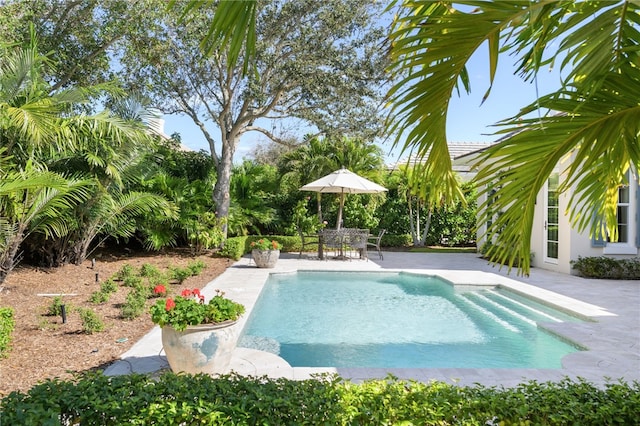 pool featuring a patio area