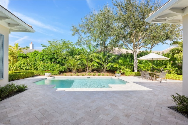 outdoor pool featuring a patio area