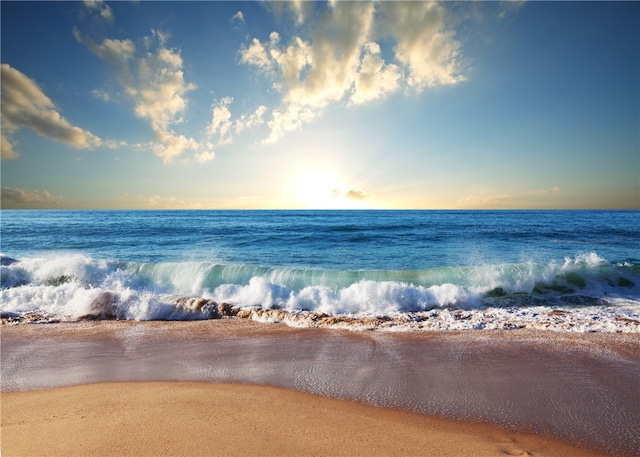 view of water feature featuring a beach view