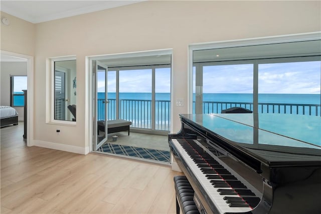 miscellaneous room featuring crown molding, light wood-type flooring, and a water view