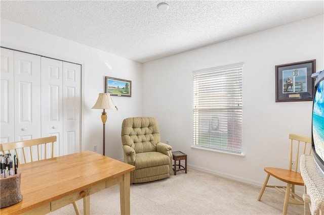 office space with light carpet and a textured ceiling