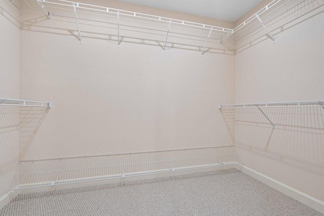 spacious closet featuring carpet floors