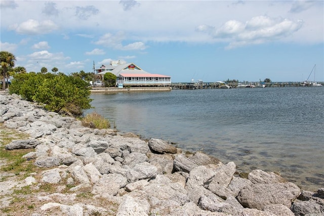 property view of water