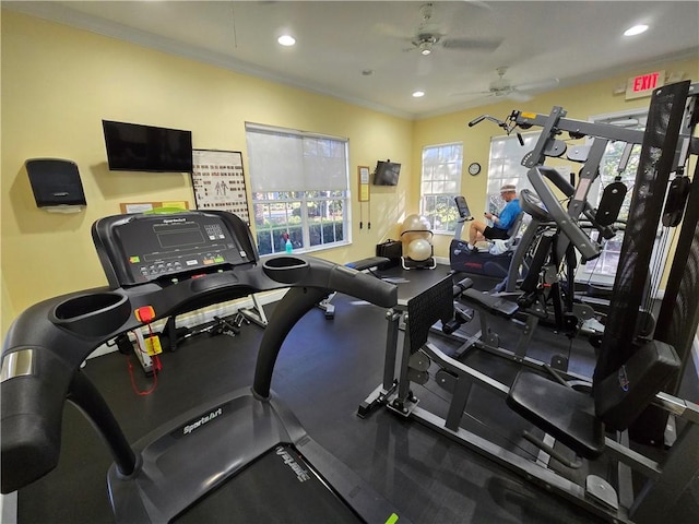 exercise room with crown molding and ceiling fan