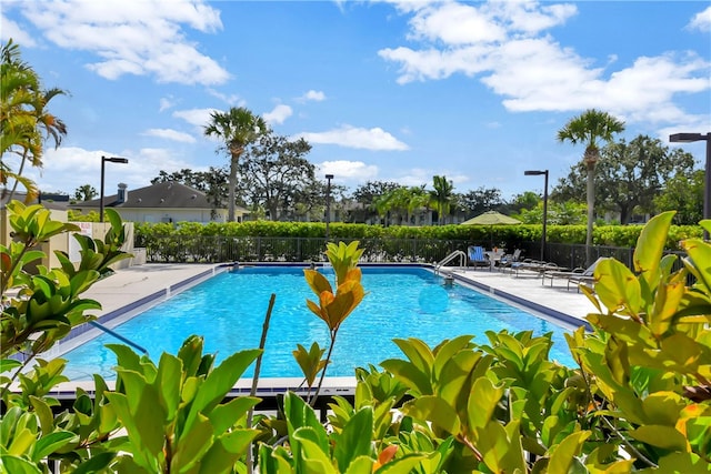 view of swimming pool featuring a patio area