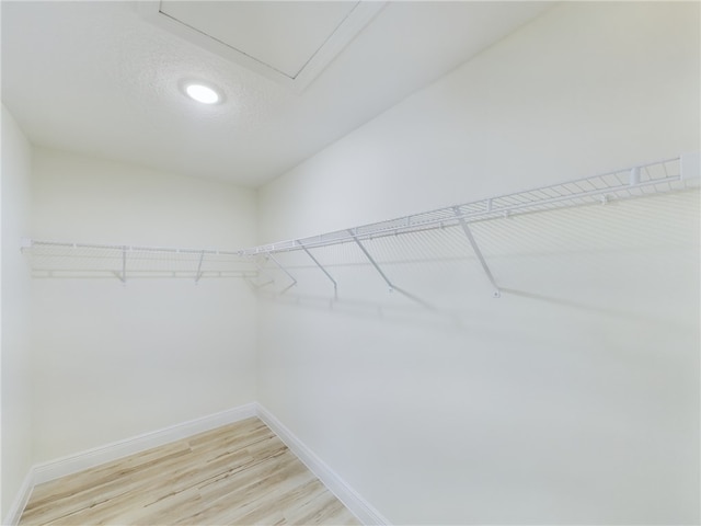 walk in closet with light wood-style floors