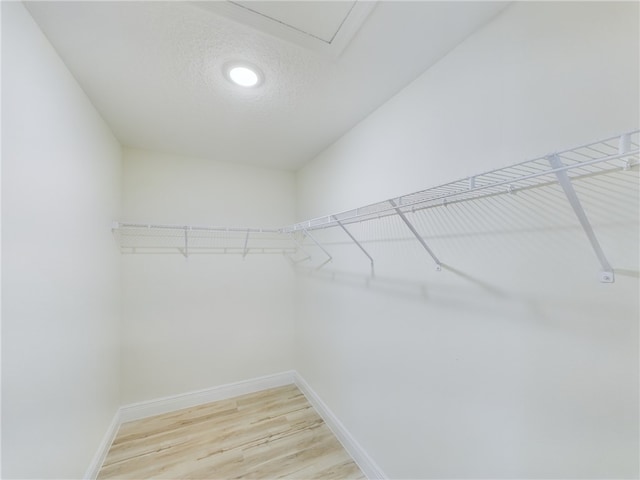spacious closet with light wood-style floors