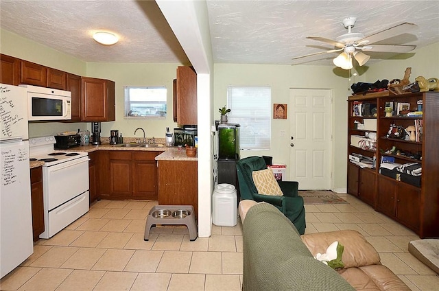 1246-1248 17th Pl, Vero Beach, FL 32960 - photo 15