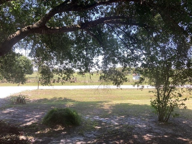 10186 NE 30th St, Okeechobee, FL 34974 - view of yard