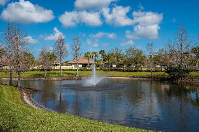 view of water feature