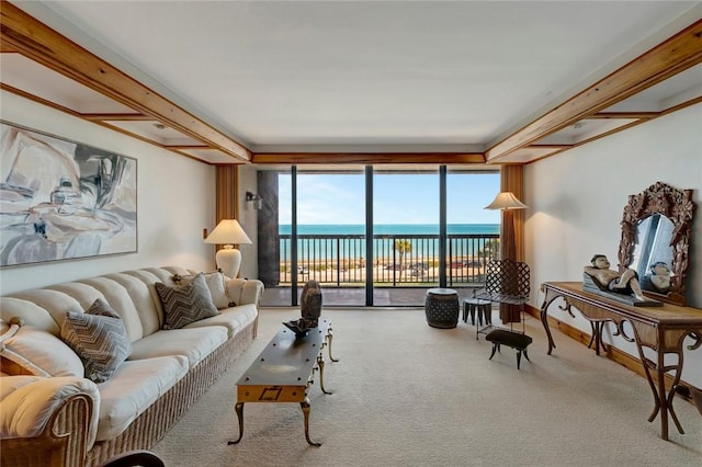 carpeted living room with expansive windows and a water view