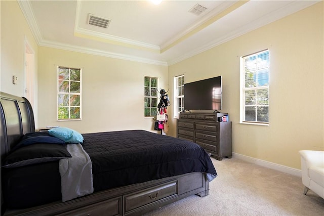 6139 57th Ct, Vero Beach, FL 32967 - bedroom with a raised ceiling, multiple windows, crown molding, and light colored carpet
