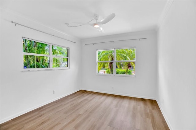 811 Royal Palm Pl, Vero Beach, FL 32960 - empty room with wood finished floors, ceiling fan, and ornamental molding